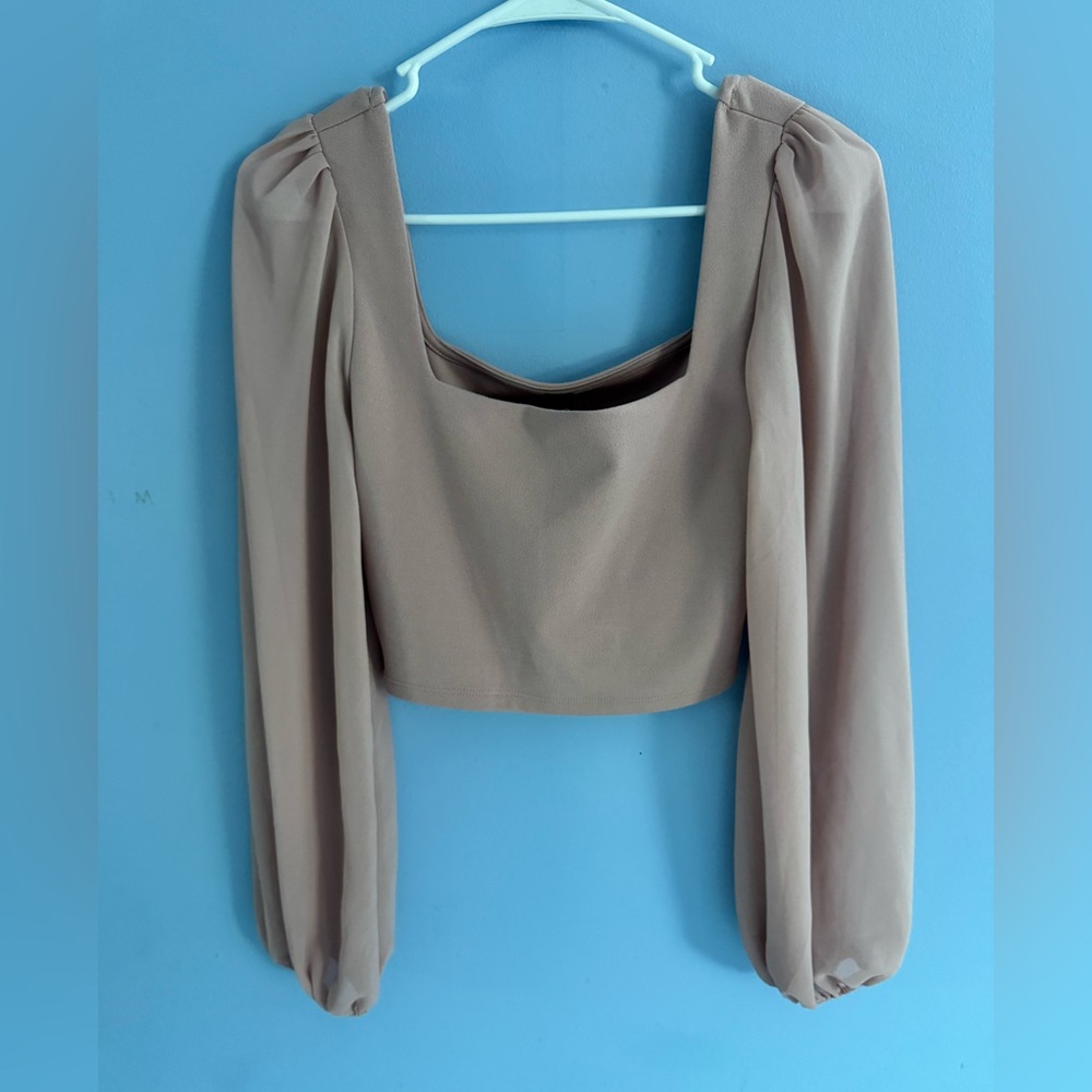 Windsor Sheer Sleeve Crop Top - Light Pink